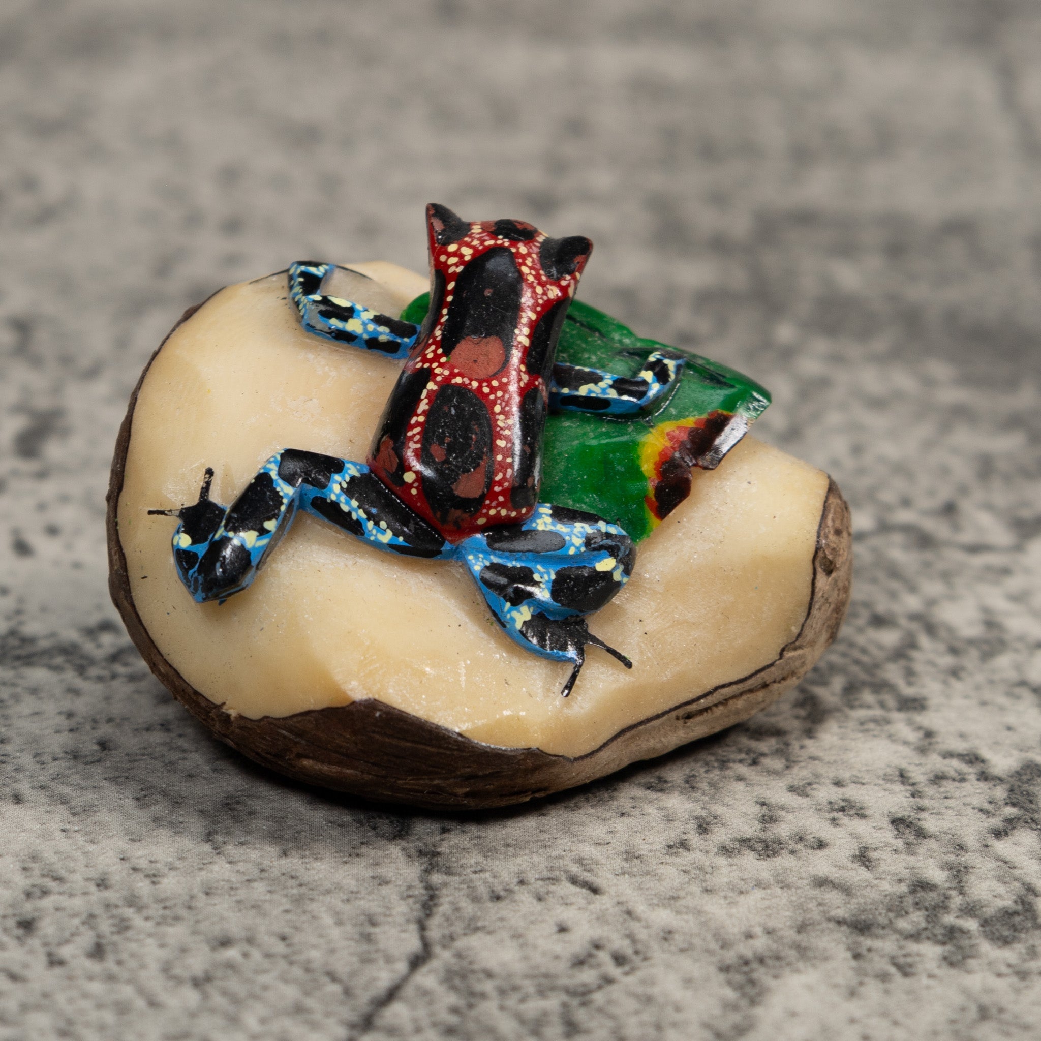 Blue Red And Black Poison Dart Frog Tagua Carving