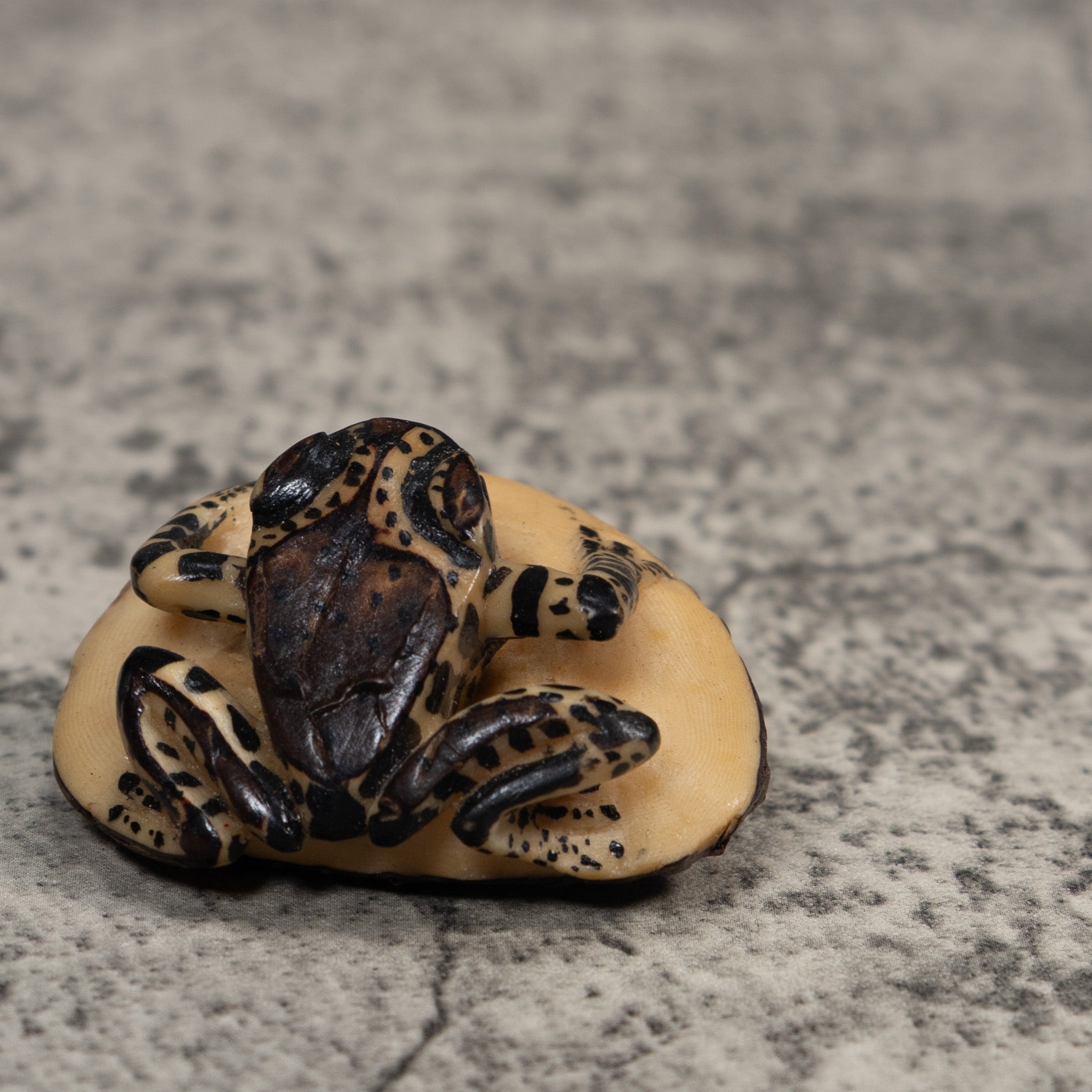 Vintage White And Black Poison Dart Frog Tagua Carving