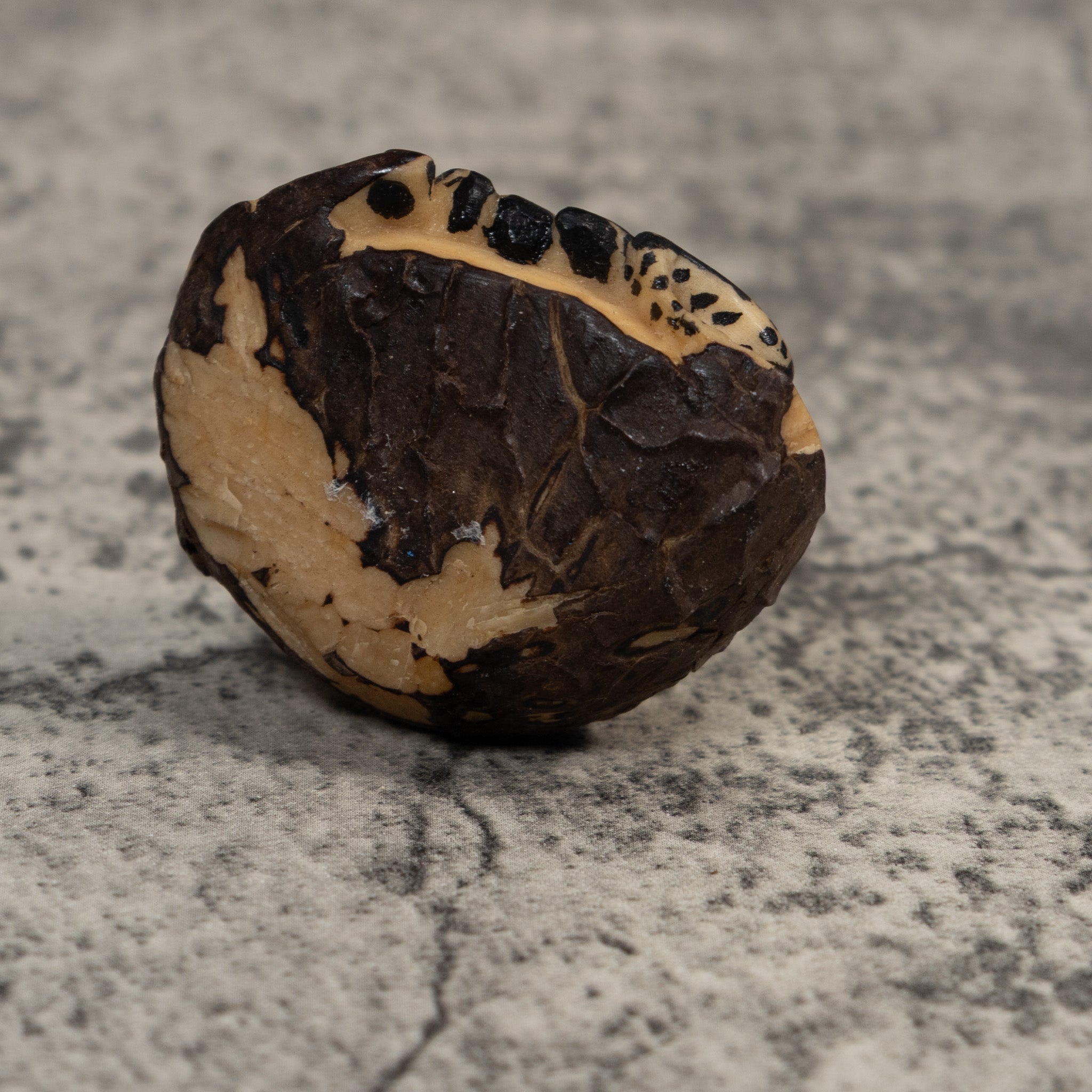 Vintage White And Black Poison Dart Frog Tagua Carving