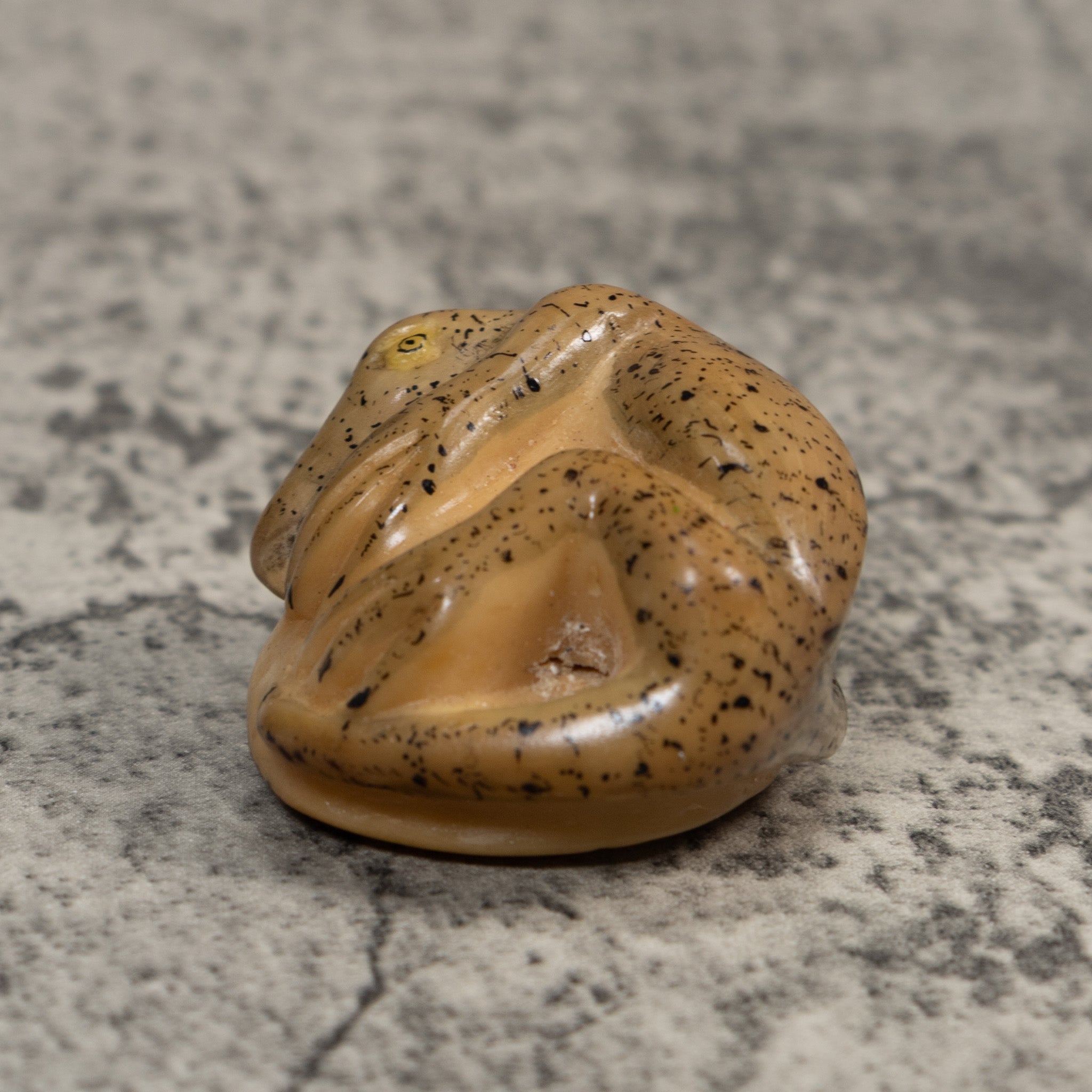 Vintage Gecko Lizard Reptile Tagua Carving