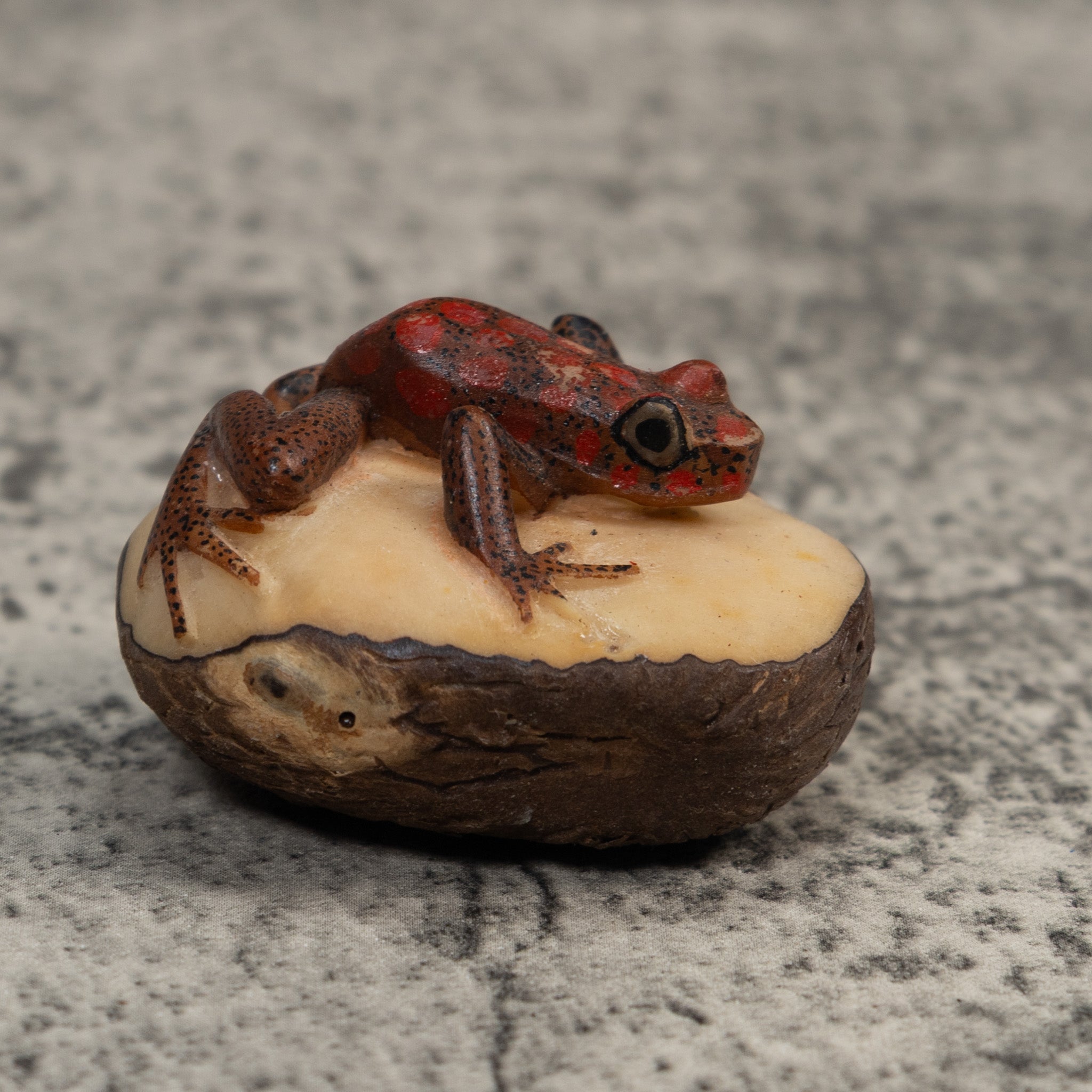 Red And Black Poison Dart Frog Tagua Carving