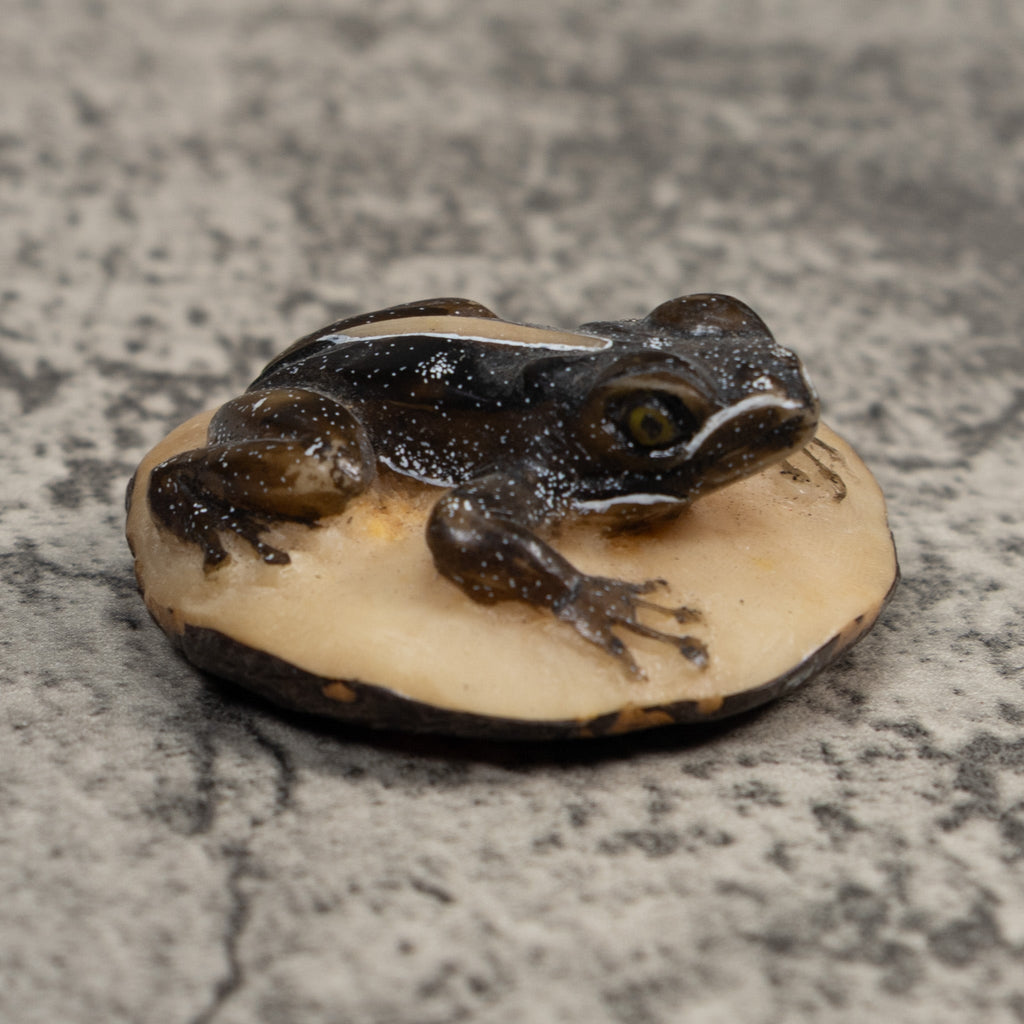 Brown Poison Dart Frog Tagua Carving