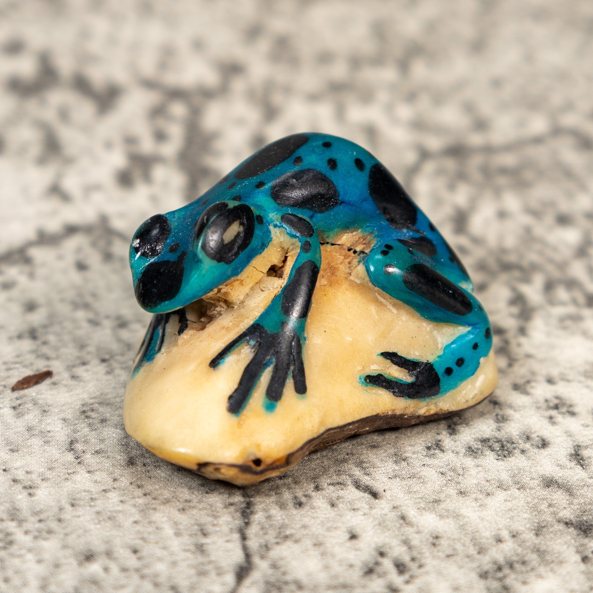 Vintage Blue And Black Frog Tagua Carving