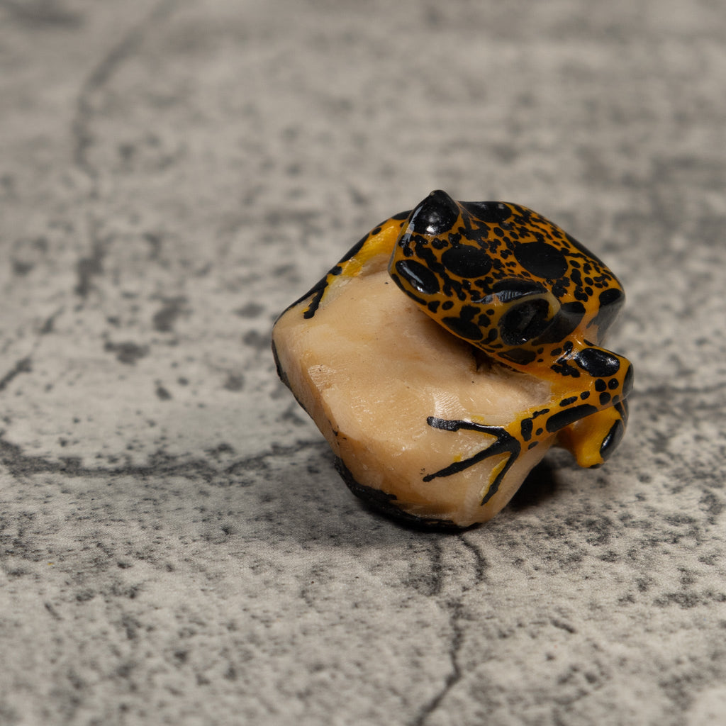 Brown And Black Poison Dart Frog Tagua Carving