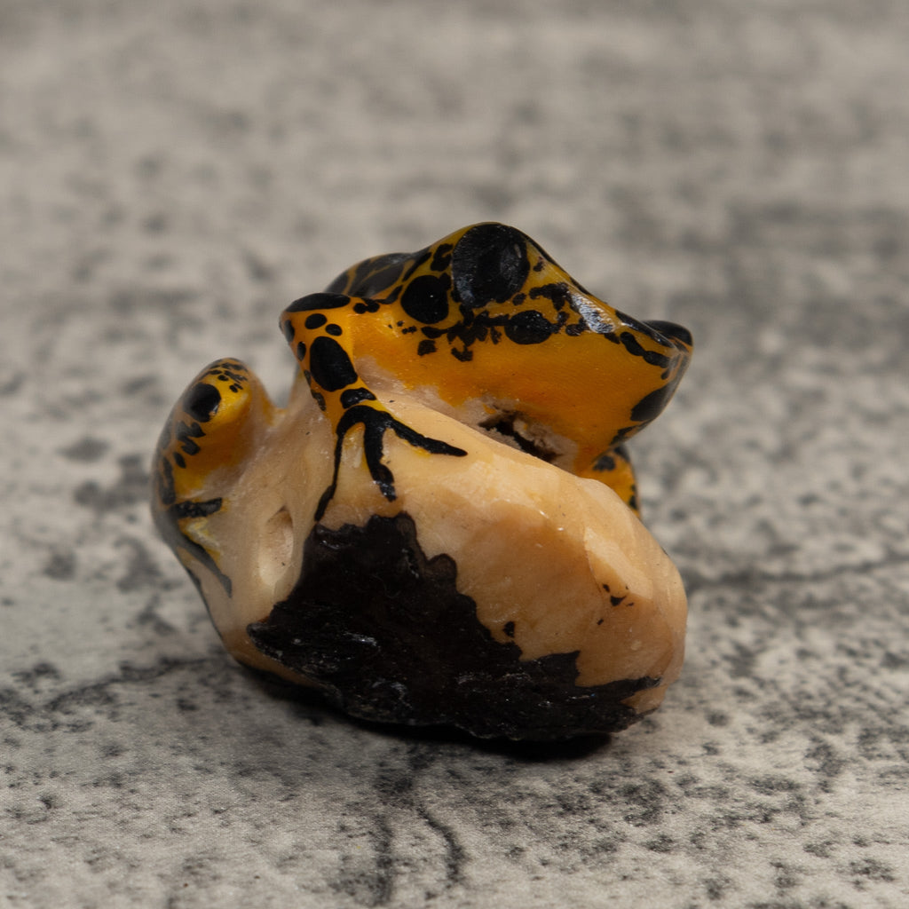 Brown And Black Poison Dart Frog Tagua Carving