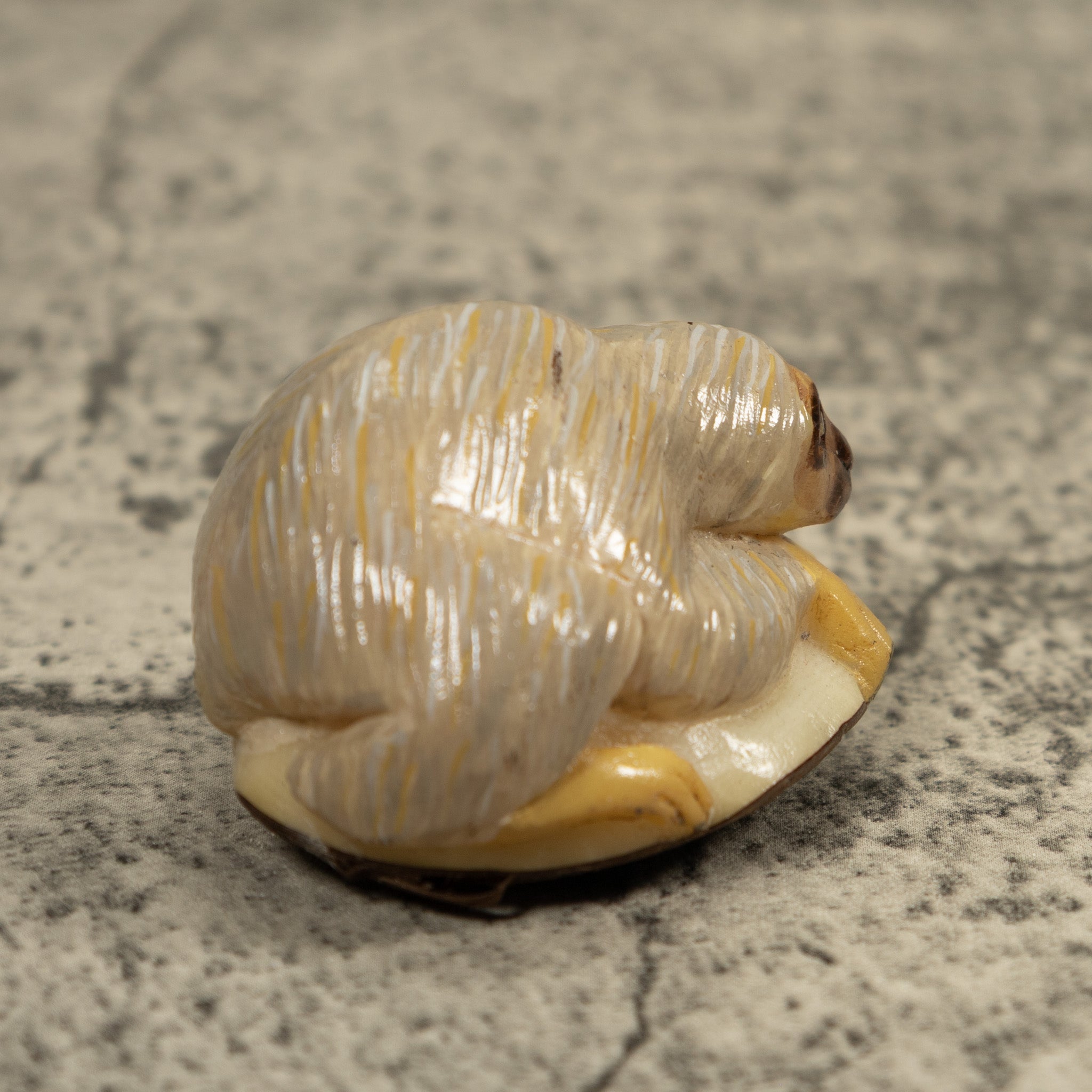 Gray Brown Sloth Tagua Carving