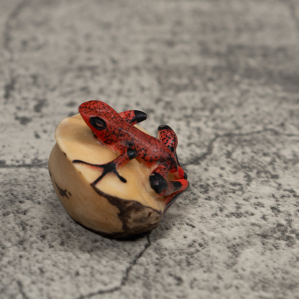 Black And Red Frog Tagua Carving