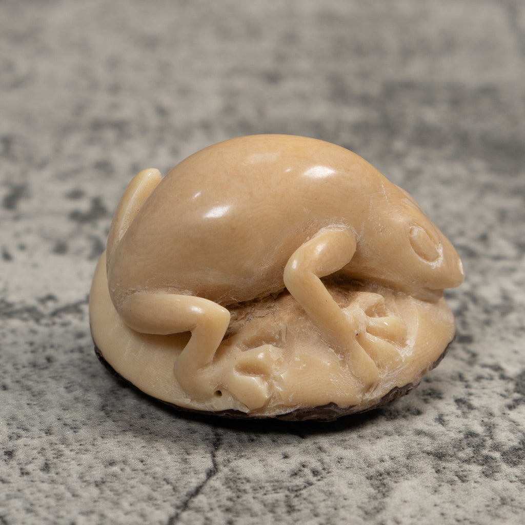 Vintage White Natural Frog Tagua Carving