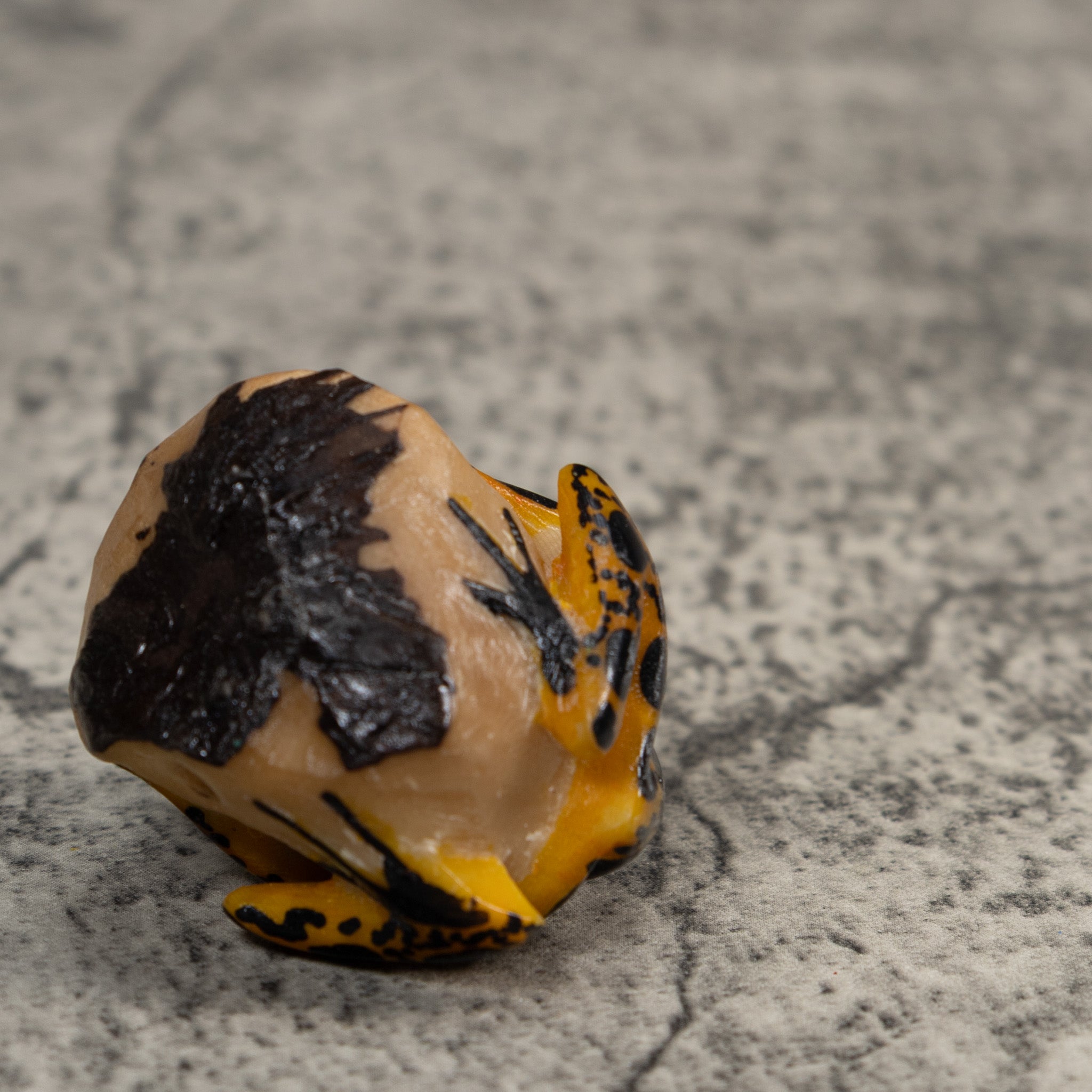 Brown And Black Poison Dart Frog Tagua Carving