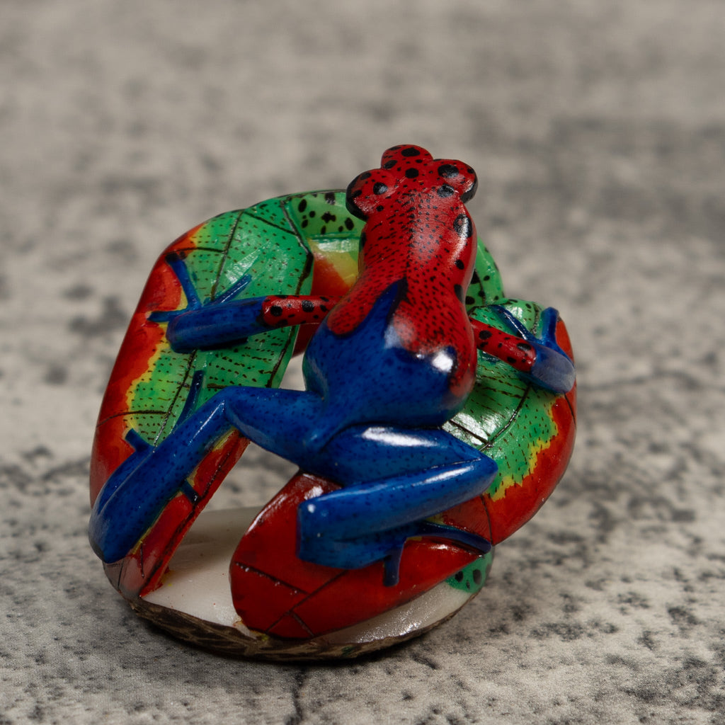 Red And Blue Poison Dart Frog Tagua Carving