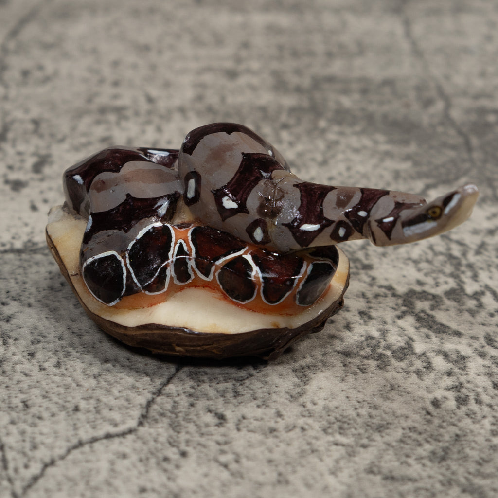 Boa Constictor Snake Tagua Carving