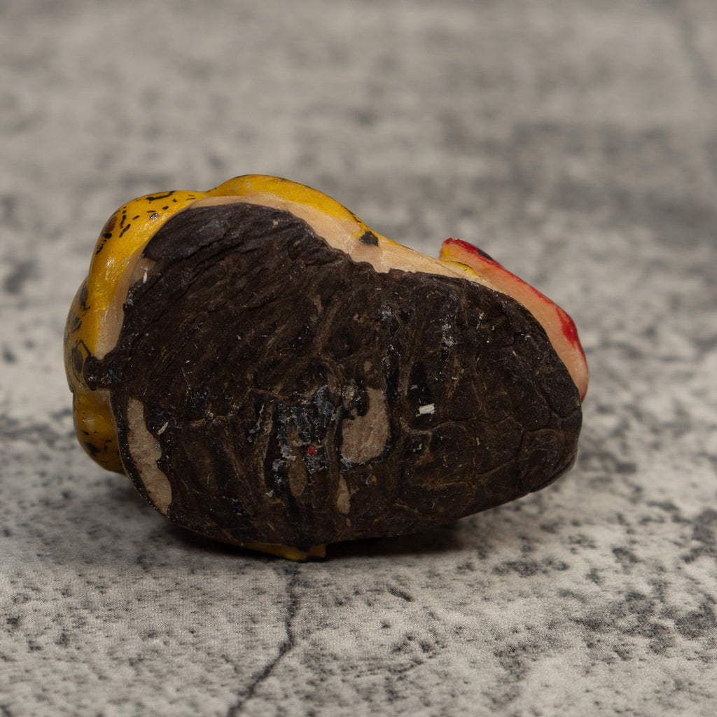Yellow Black And Red Frog With Foliage Tagua Carving