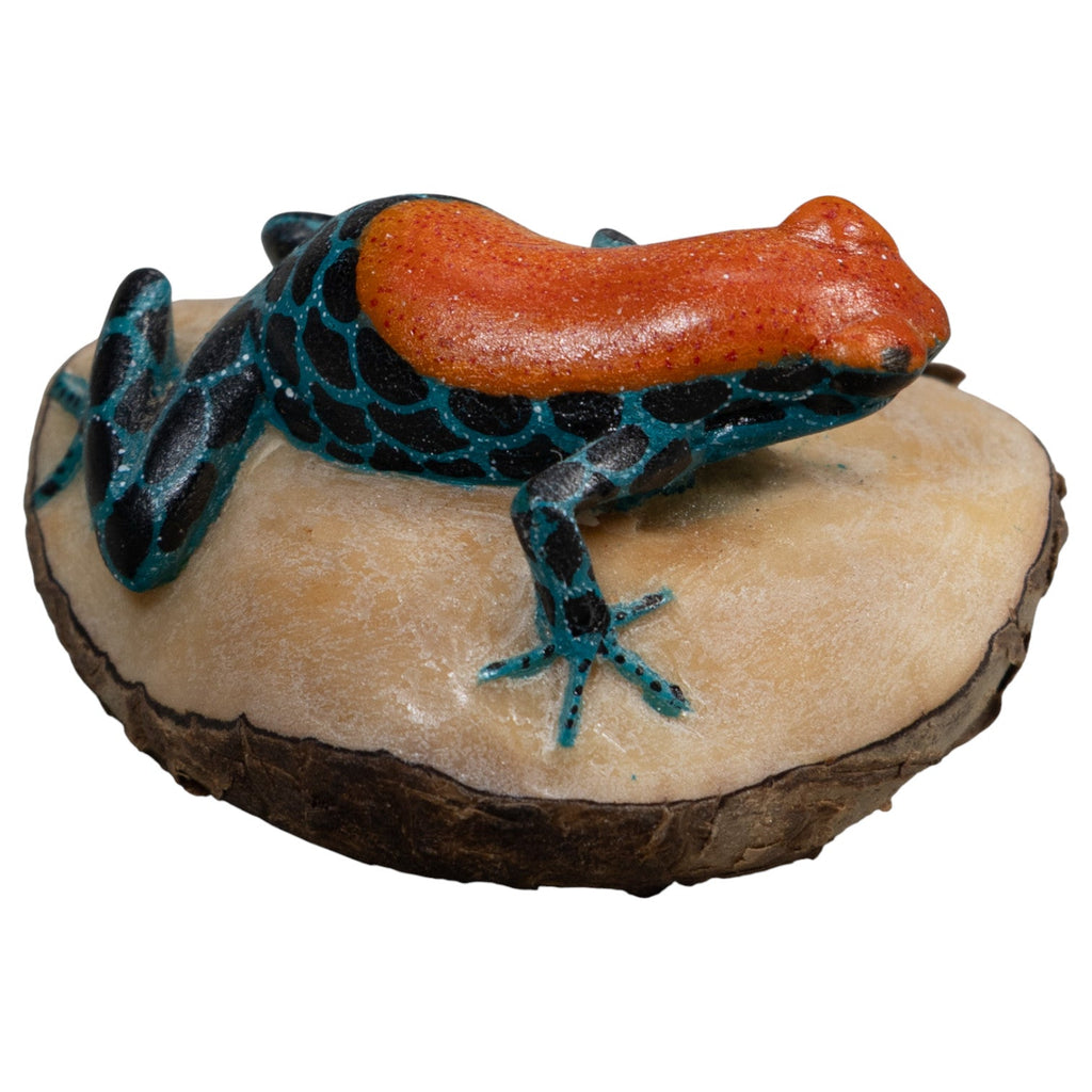 Blue And Orange Poison Dart Frog Tagua Carving