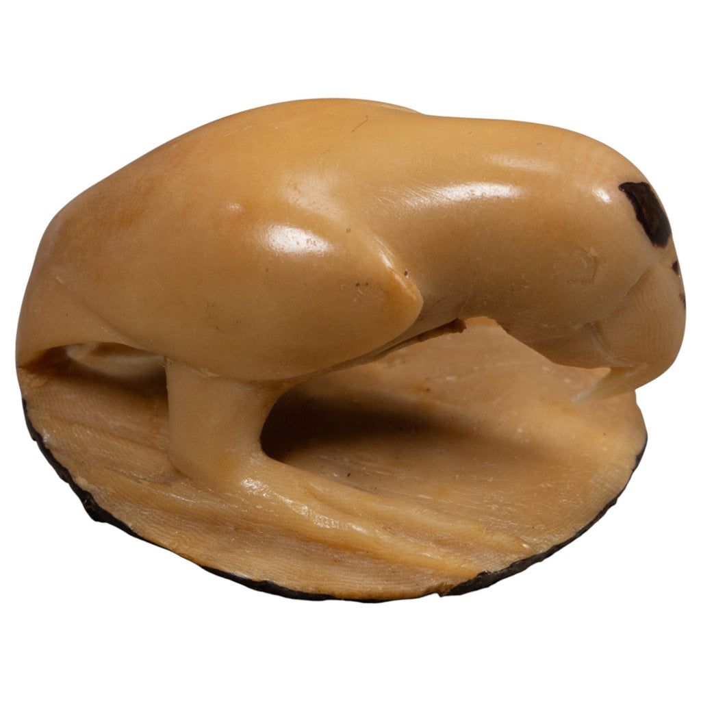 Vintage White Parrot Bird Tagua Carving