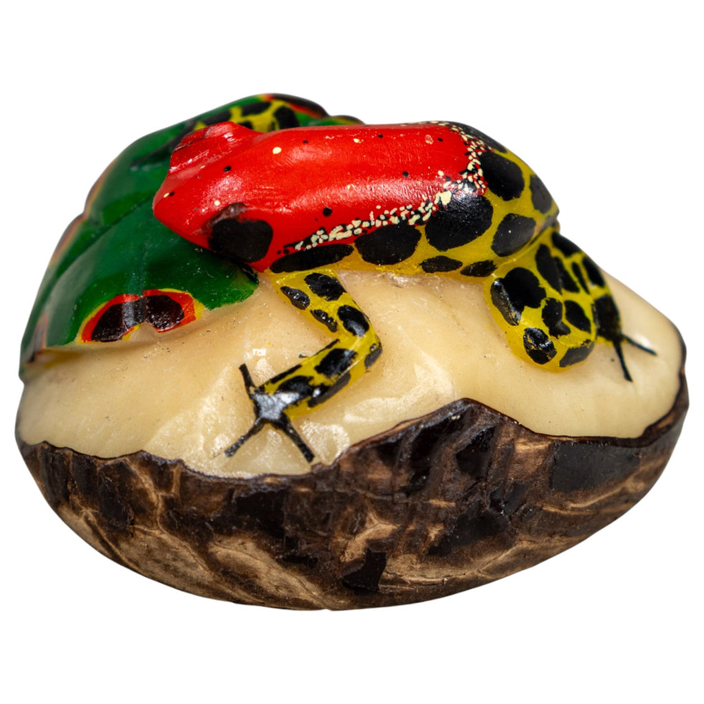 Black Red And Yellow Poison Dart Frog Tagua Carving