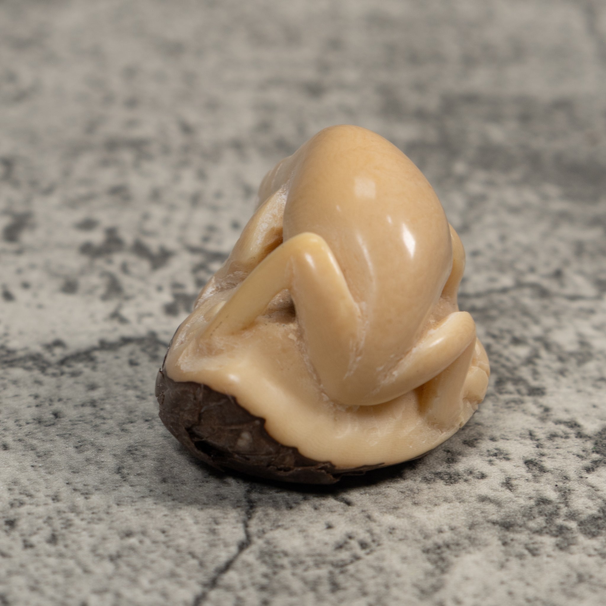 Vintage White Natural Frog Tagua Carving