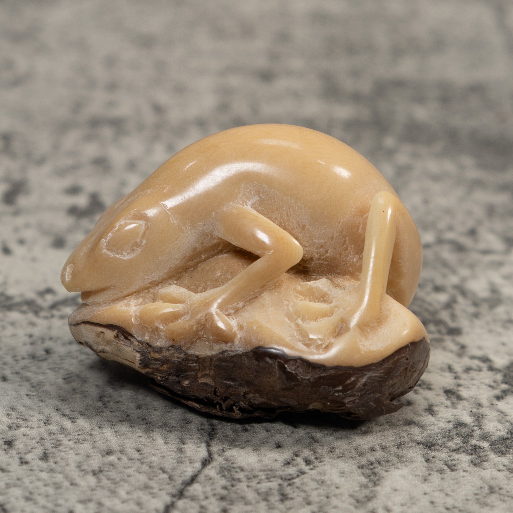 Vintage White Natural Frog Tagua Carving