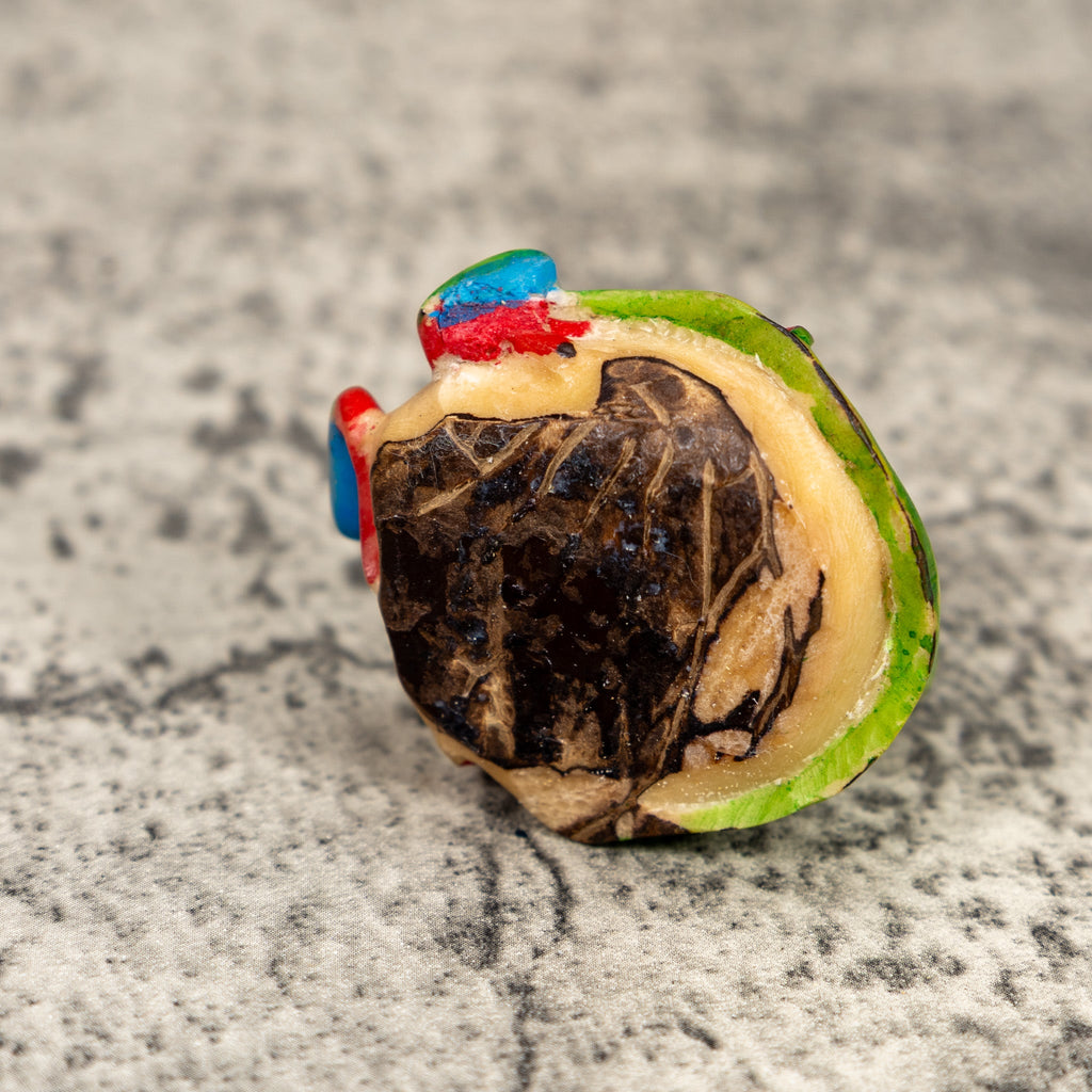 Red-Eyed Tree Frog Tagua Carving