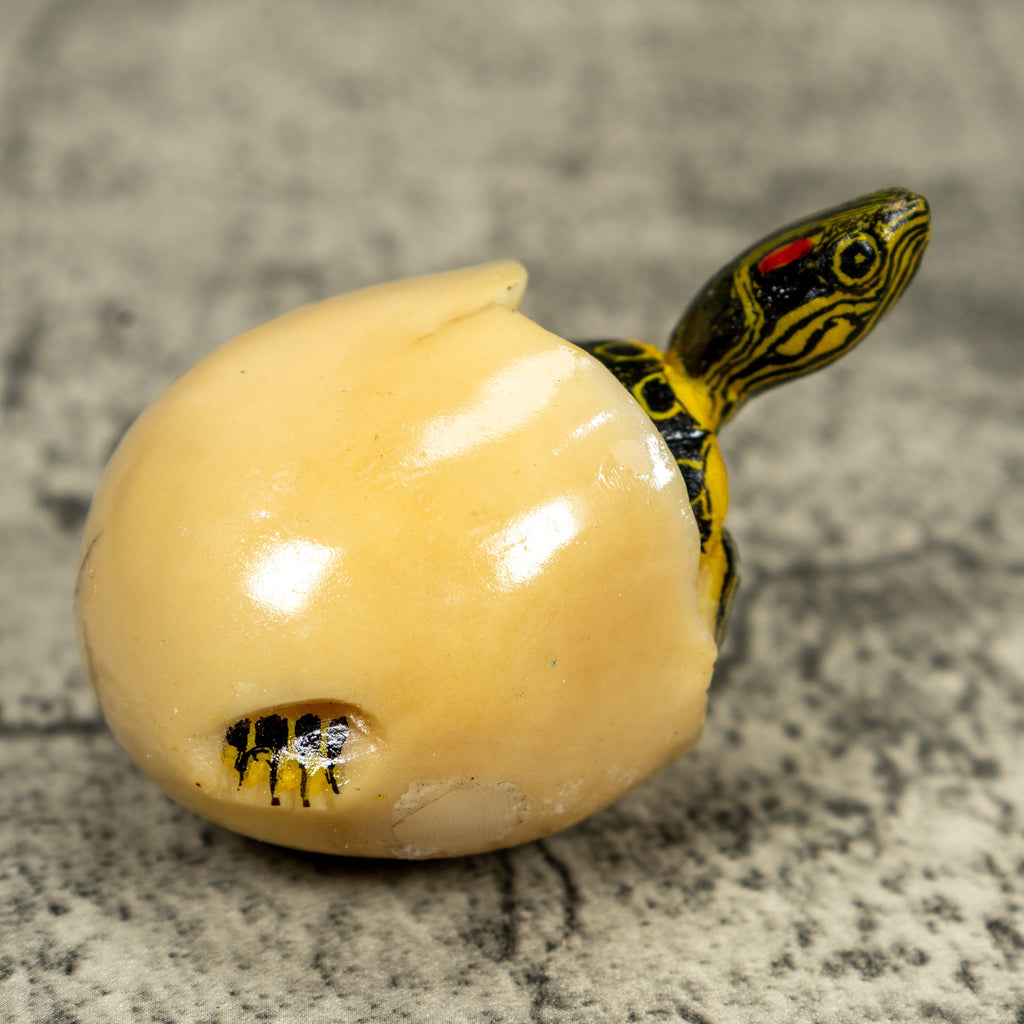 Tortoise Turtle Emerging From Egg Tagua Carving