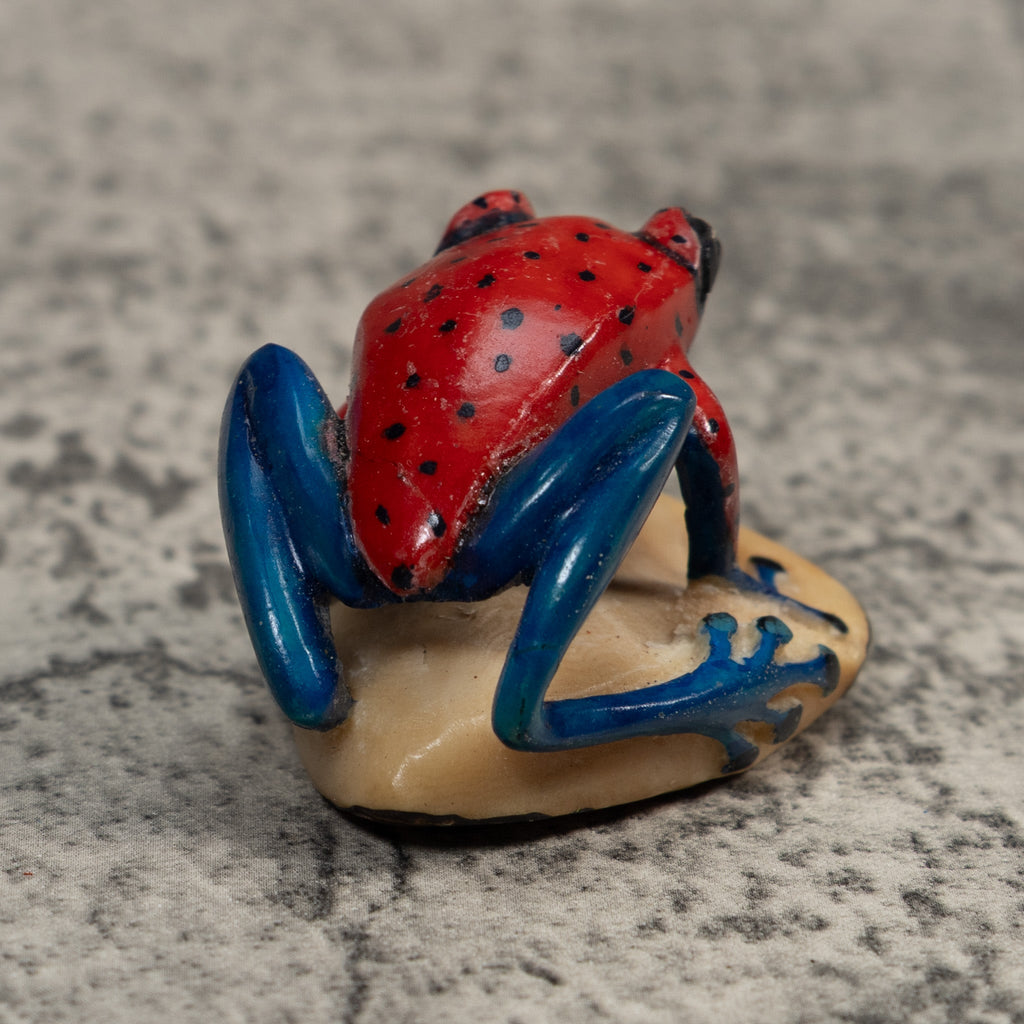 Red And Blue Undercut Poison Dart Frog Tagua Carving