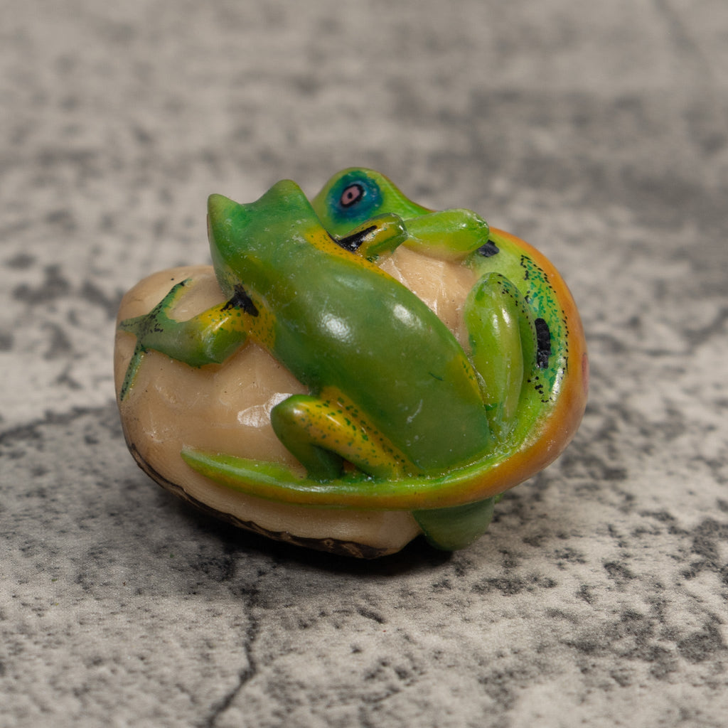 Green And Orange Double Poison Dart Frog Tagua Carving