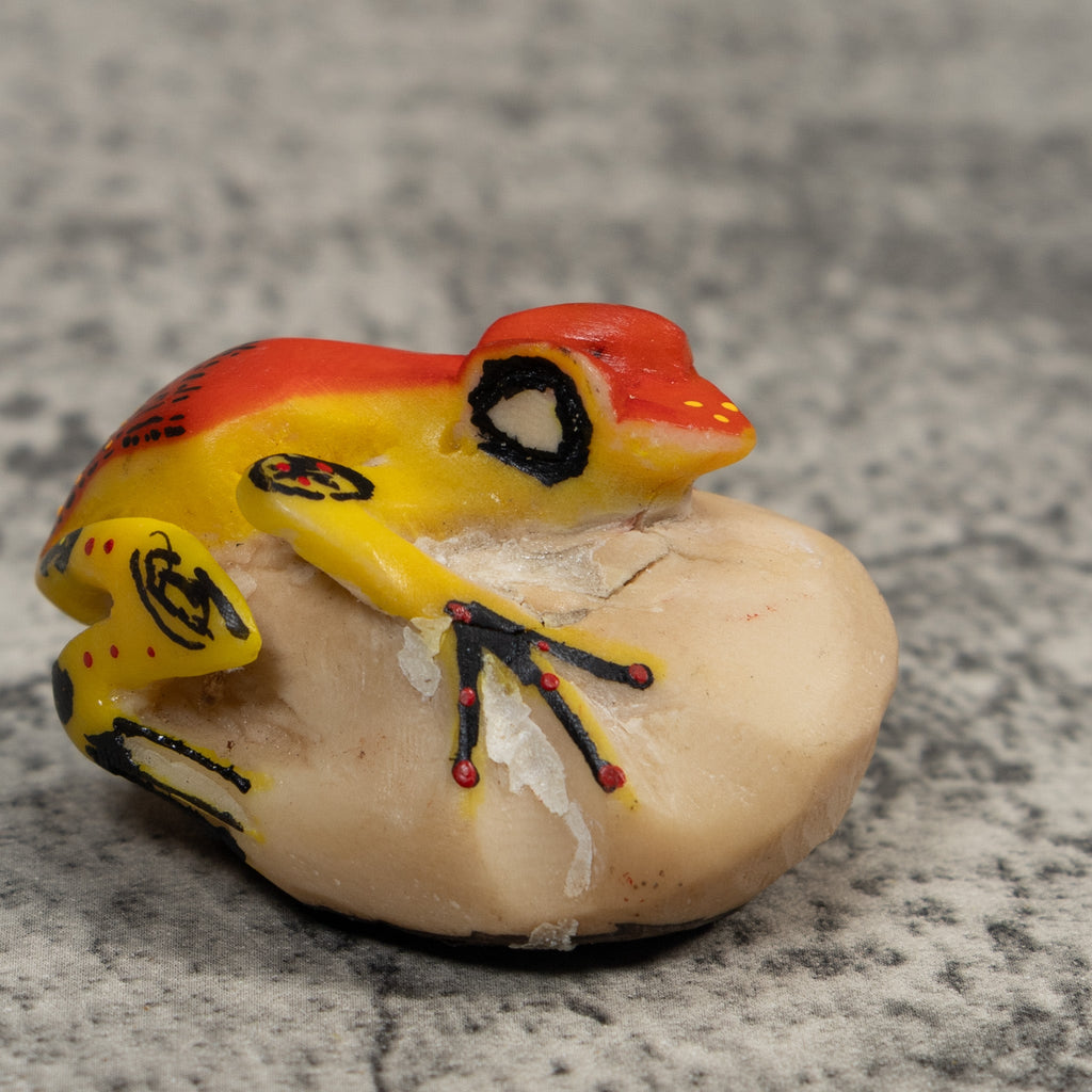 Vintage Red And Yellow Poison Dart Frog Tagua Carving
