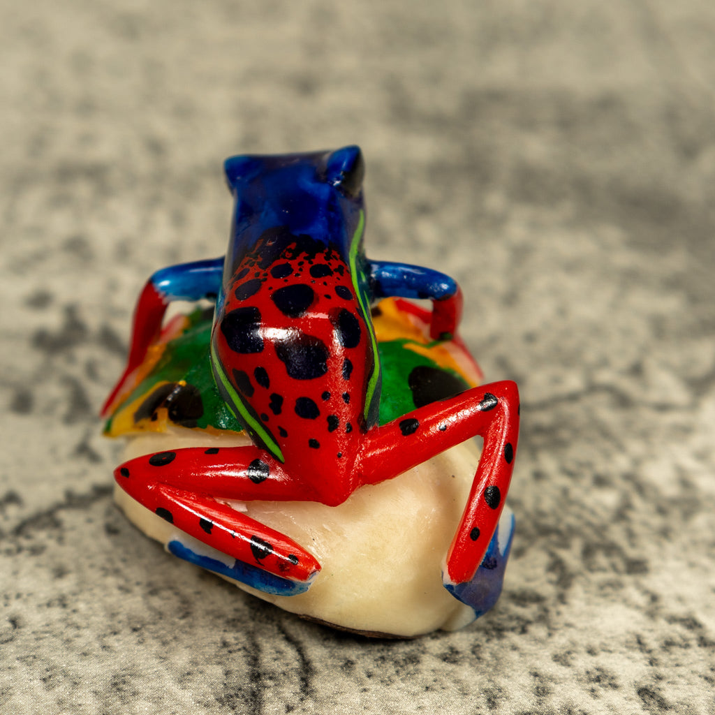 Red Blue And Green Poison Dart Frog Tagua Carving
