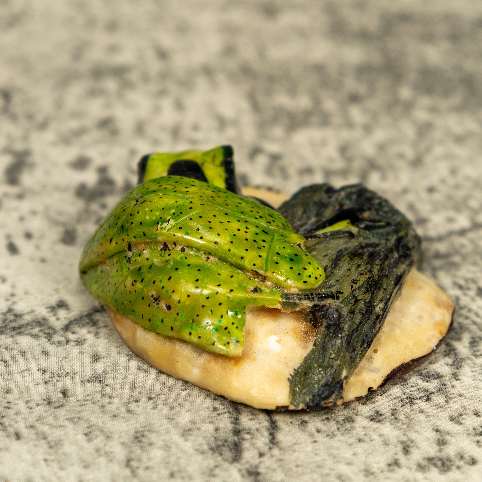 Green Poison Dart Frog Under Leaf Tagua Carving
