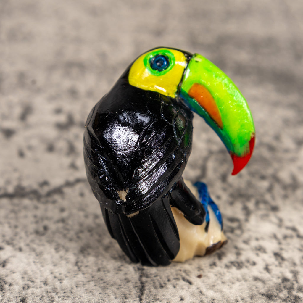 Toucan Parrot Bird Tagua Carving