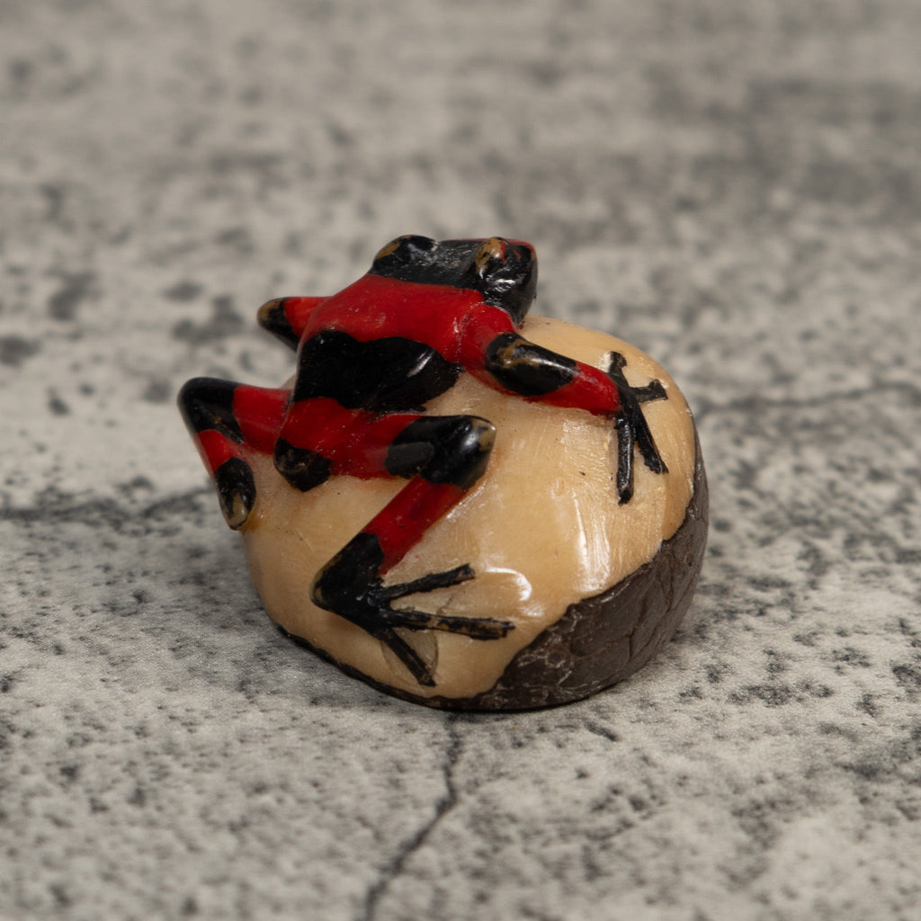 Red And Black Poison Dart Frog Tagua Carving