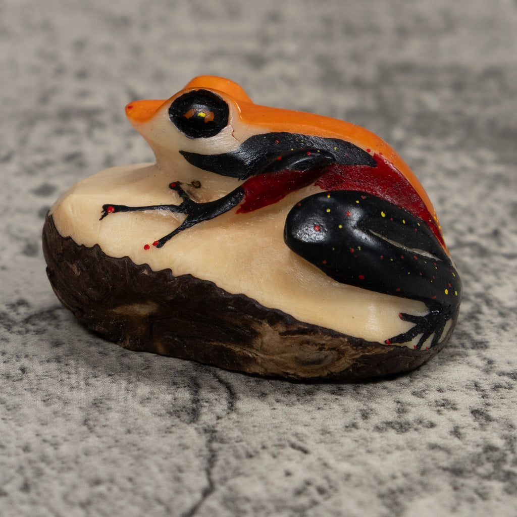 Vintage Orange And Black Frog Tagua Carving
