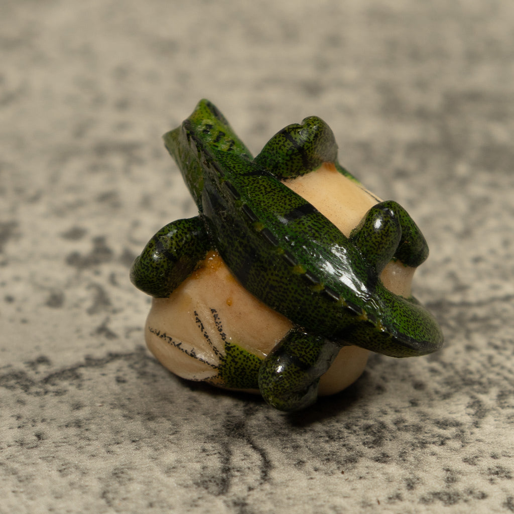Iguana Lizard Reptile Tagua Carving