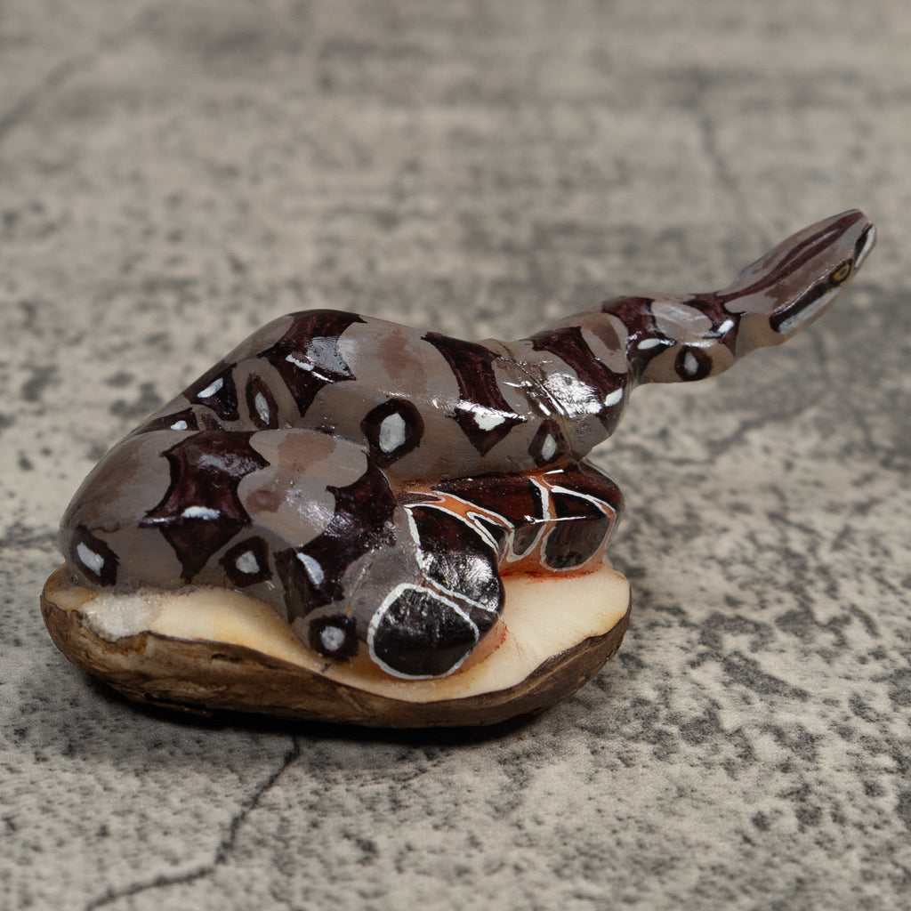 Boa Constictor Snake Tagua Carving