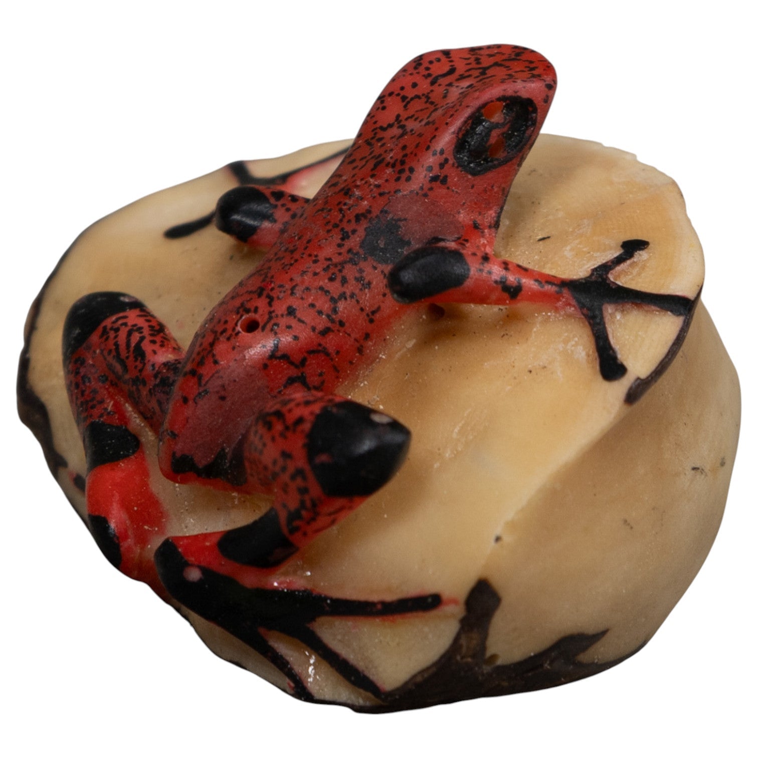 Black And Red Frog Tagua Carving