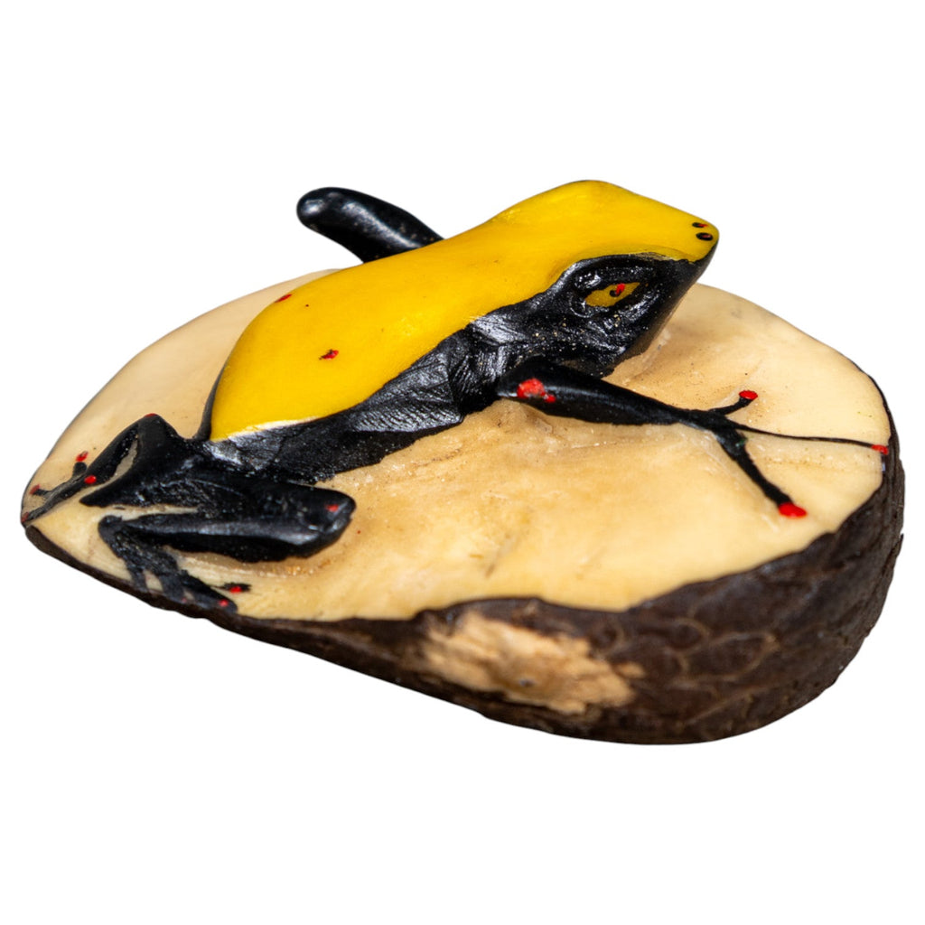Black And Yellow Poison Dart Frog Tagua Carving