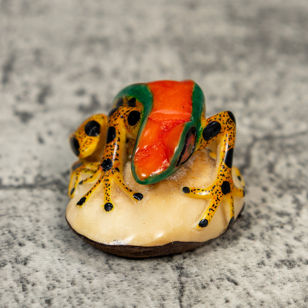 Gold And Black Red Green Poison Dart Frog Tagua Carving