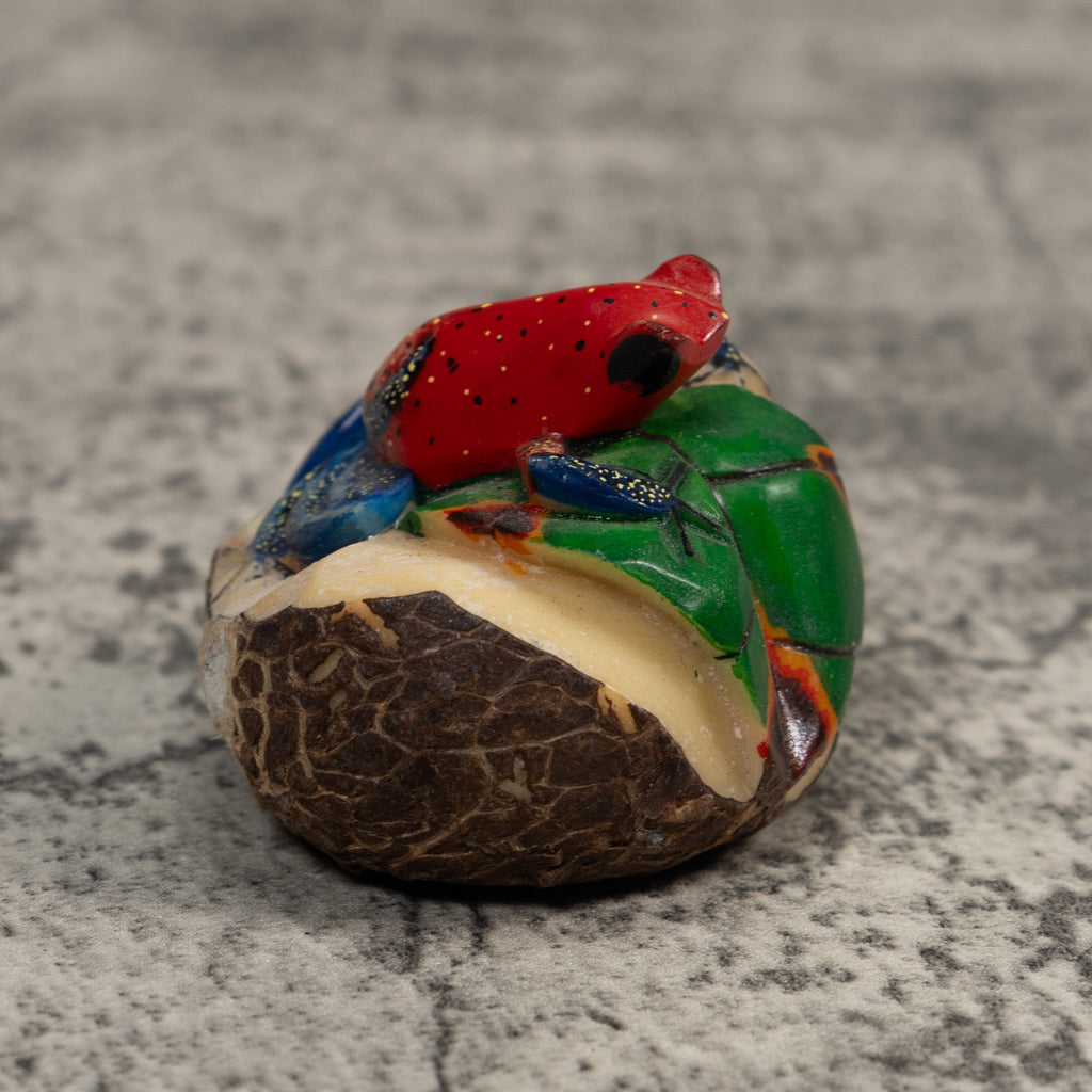 Red And Blue Poison Dart Frog Tagua Carving