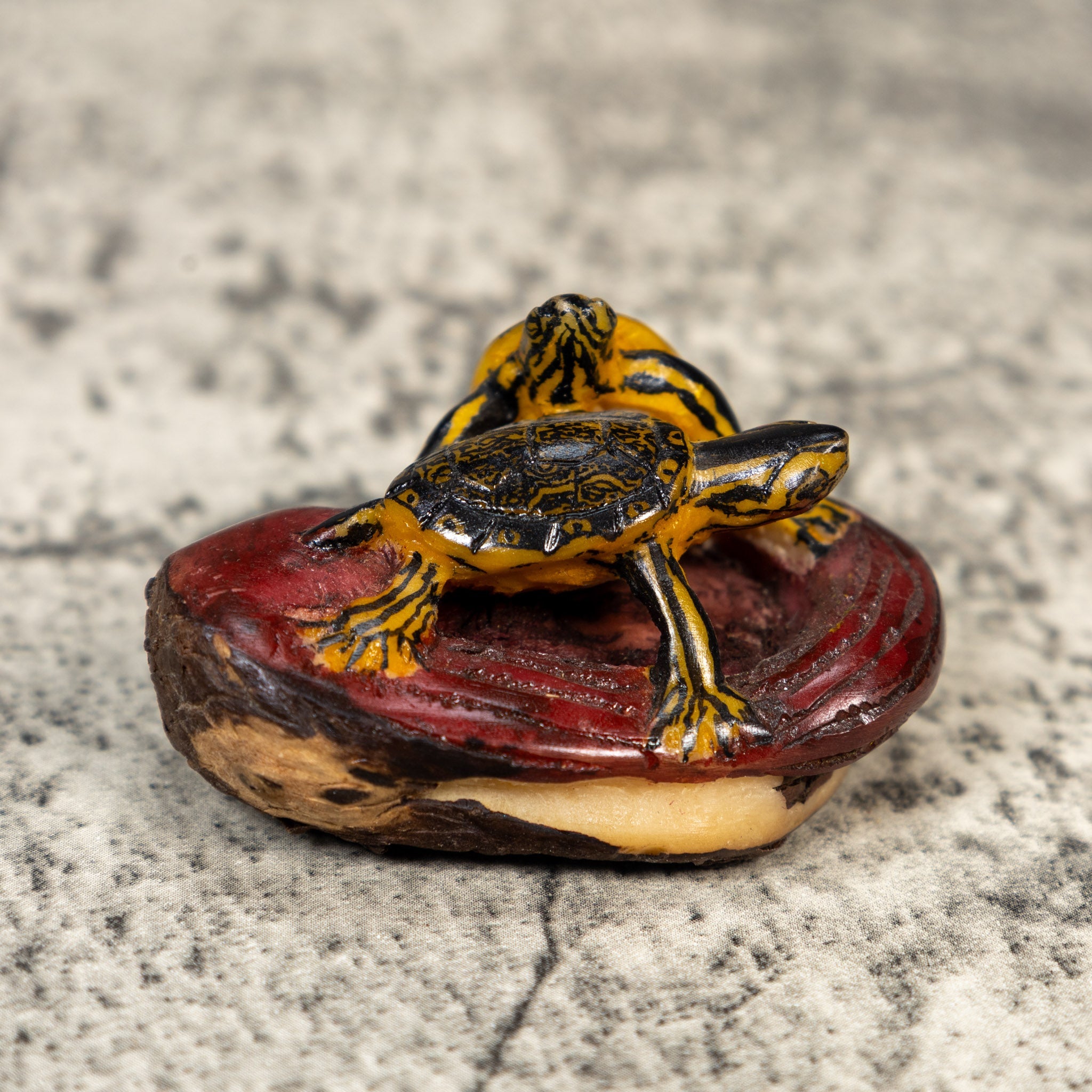 Double Turtle Tortoise Tagua Carving