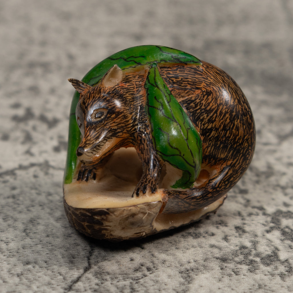 Young Coatimundi Tagua Carving
