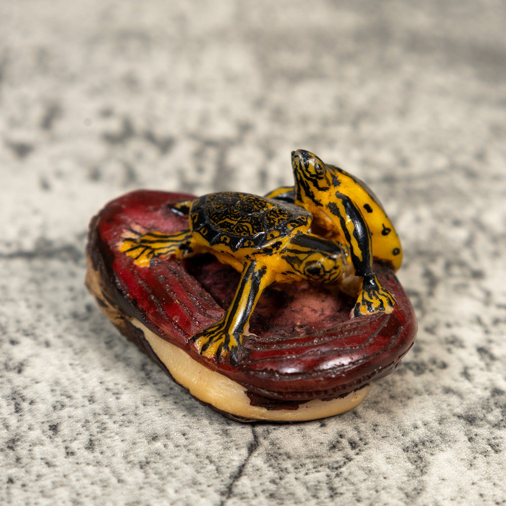Double Turtle Tortoise Tagua Carving