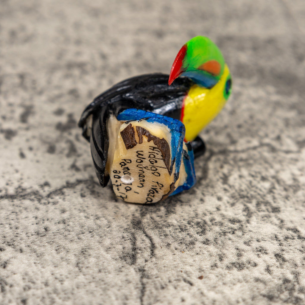 Toucan Parrot Bird Tagua Carving