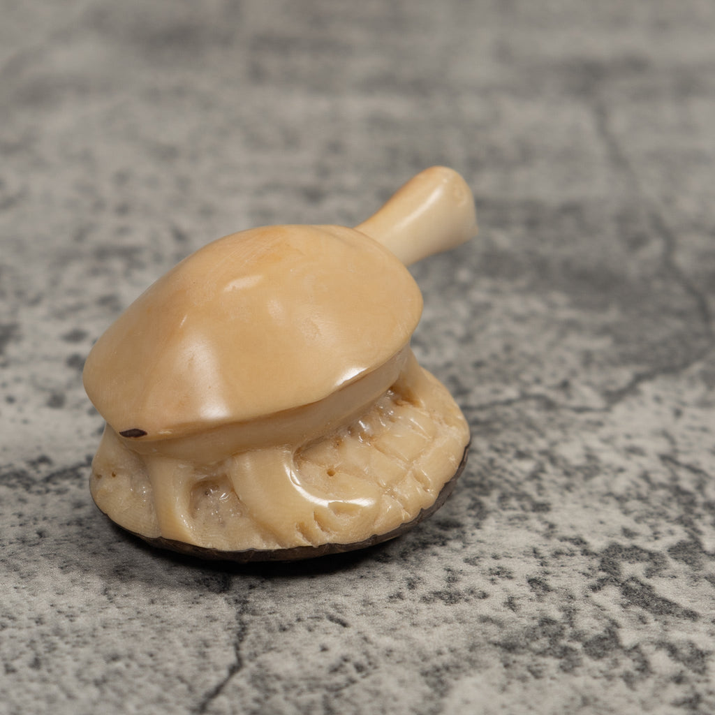 Vintage White Tortise Turtle Tagua Carving