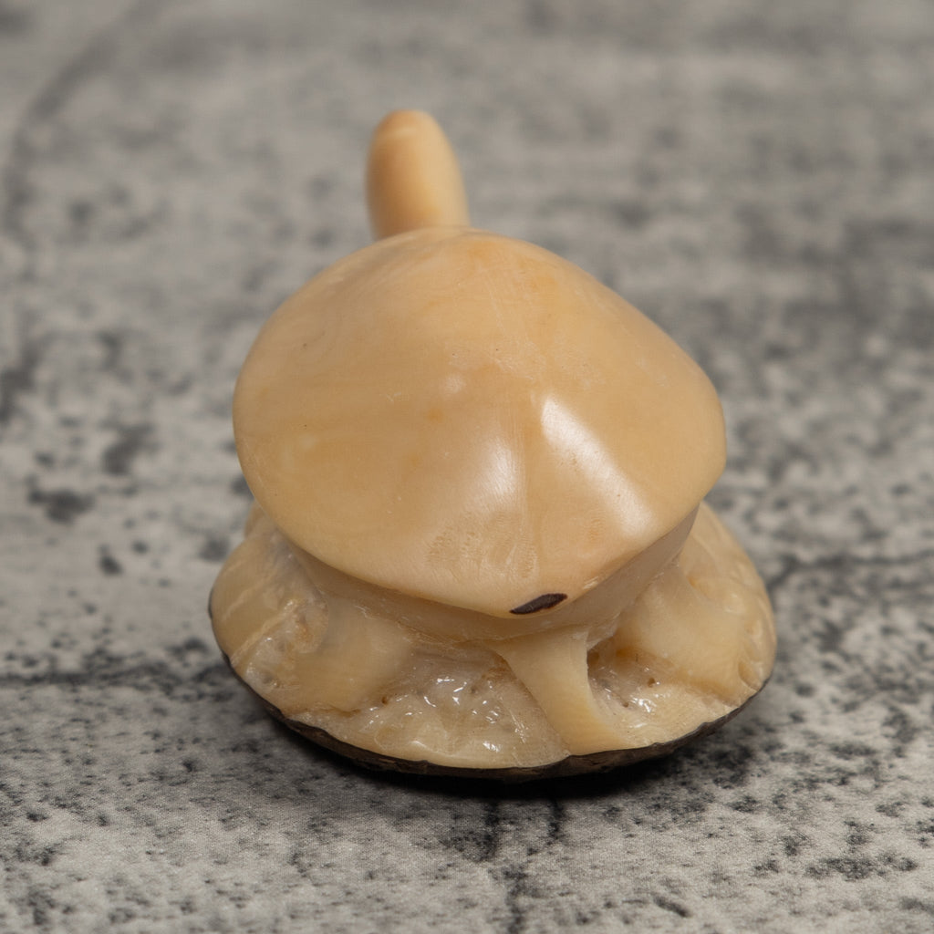 Vintage White Tortise Turtle Tagua Carving