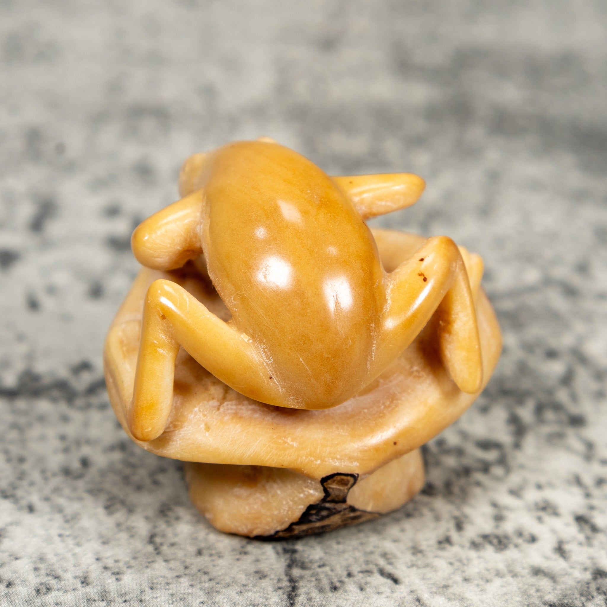 Natural White Frog Tagua Carving