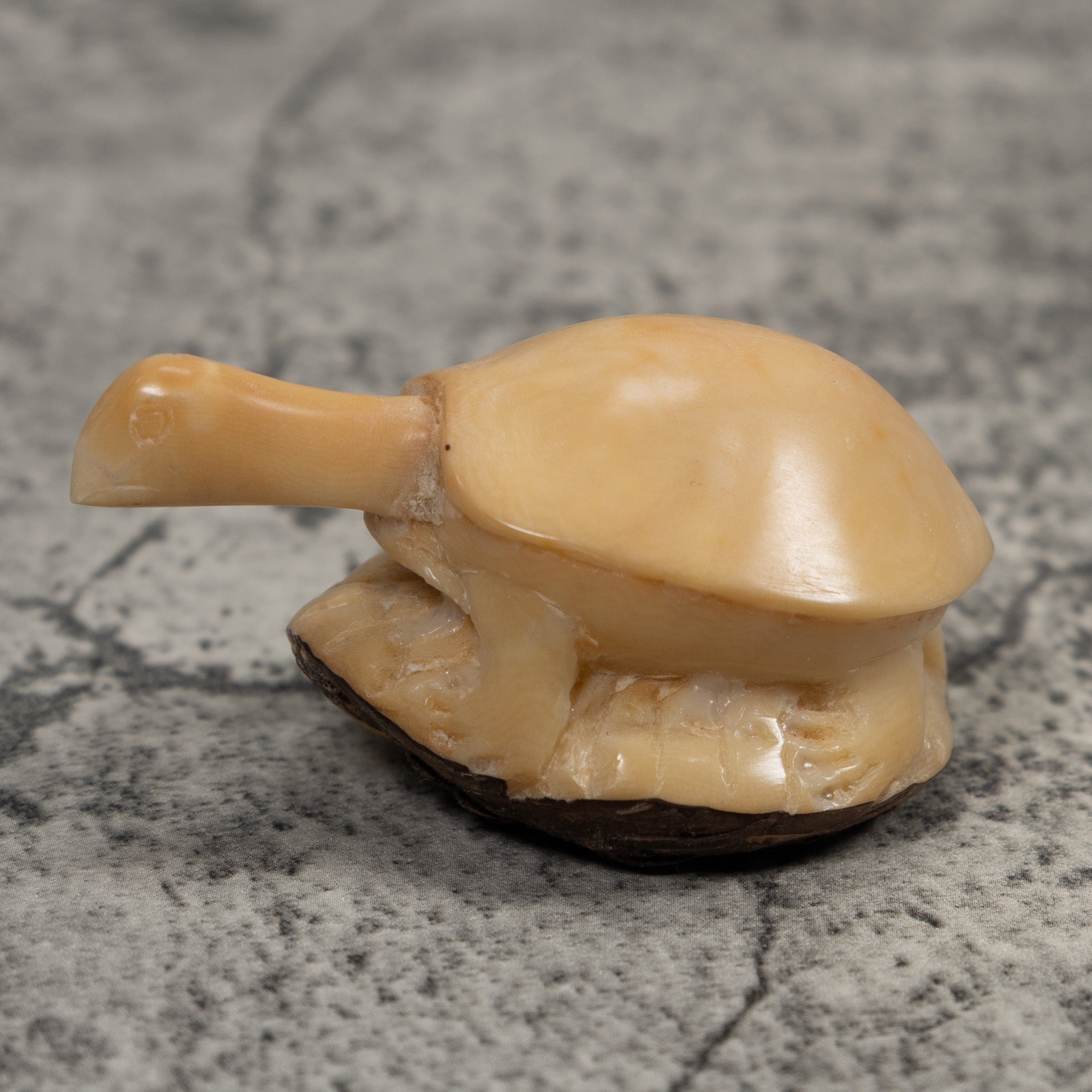 Vintage White Tortise Turtle Tagua Carving