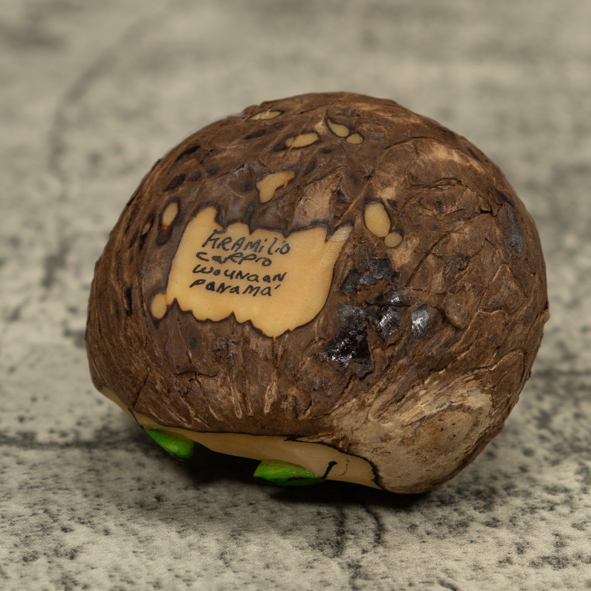 Poison Dart Frog Tagua Carving