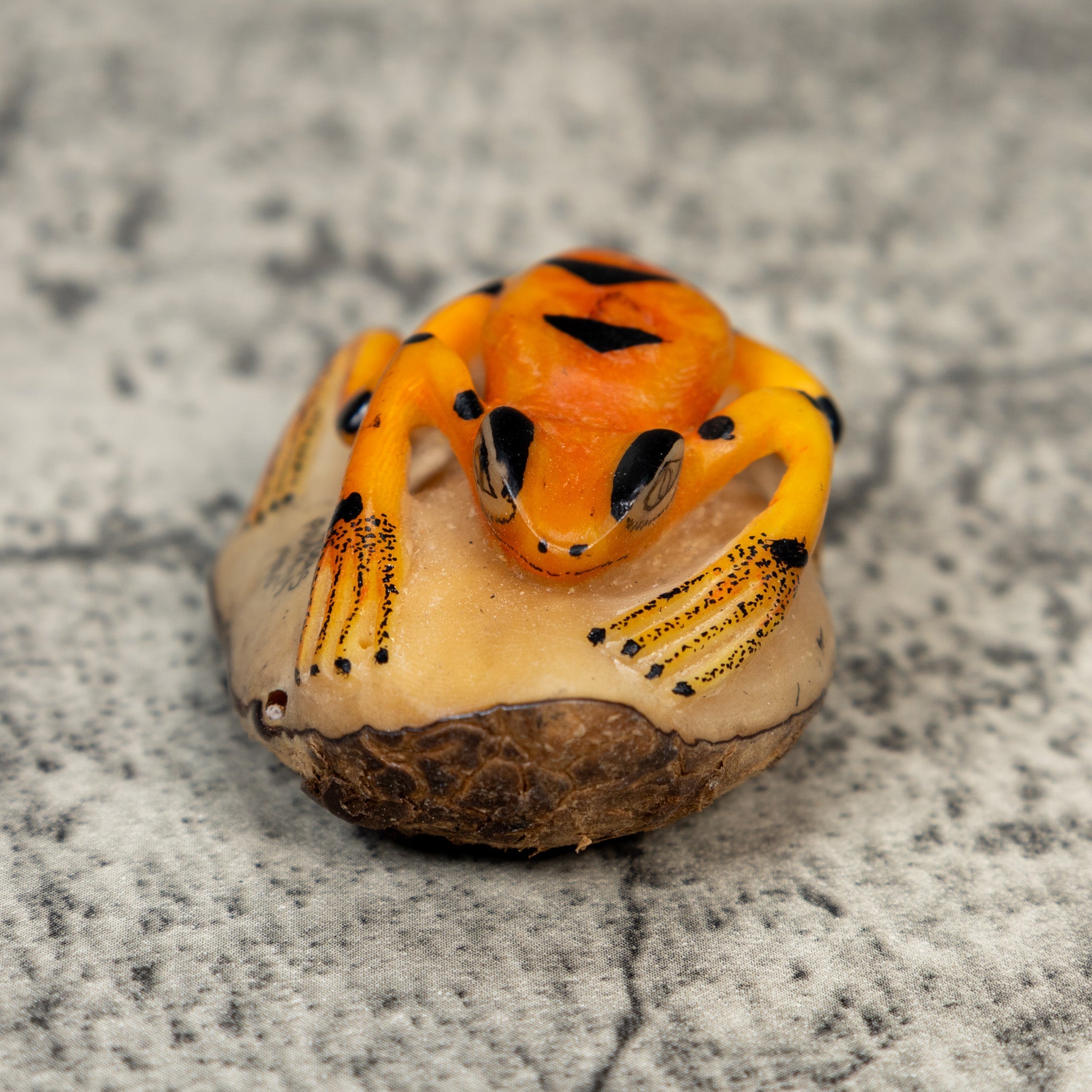Orange And Black Frog Tagua Carving