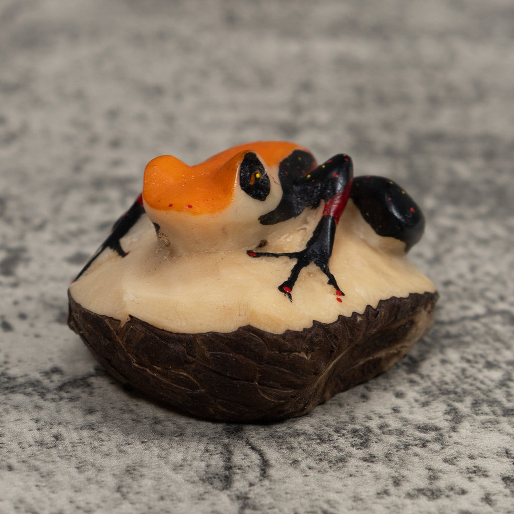 Vintage Orange And Black Frog Tagua Carving