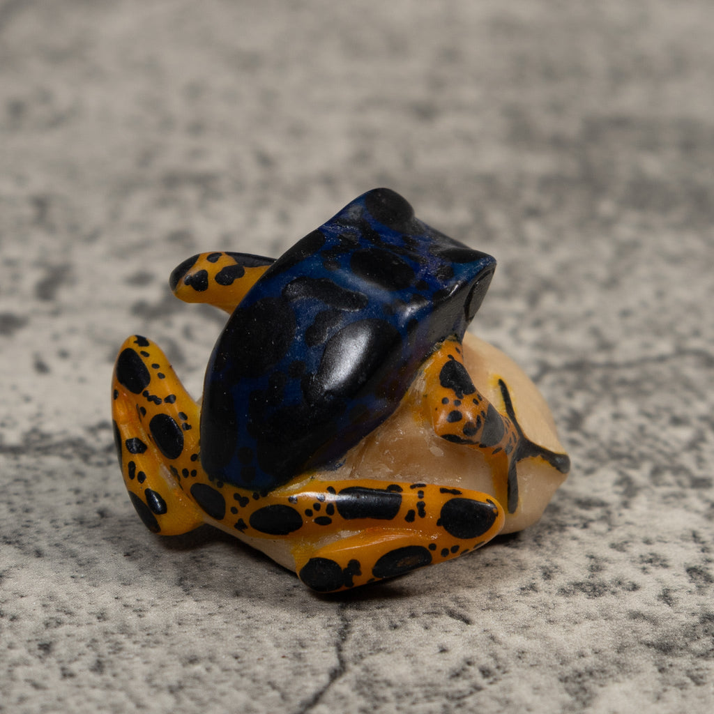 Vintage Blue And Orange Poison Dart Frog Tagua Carving