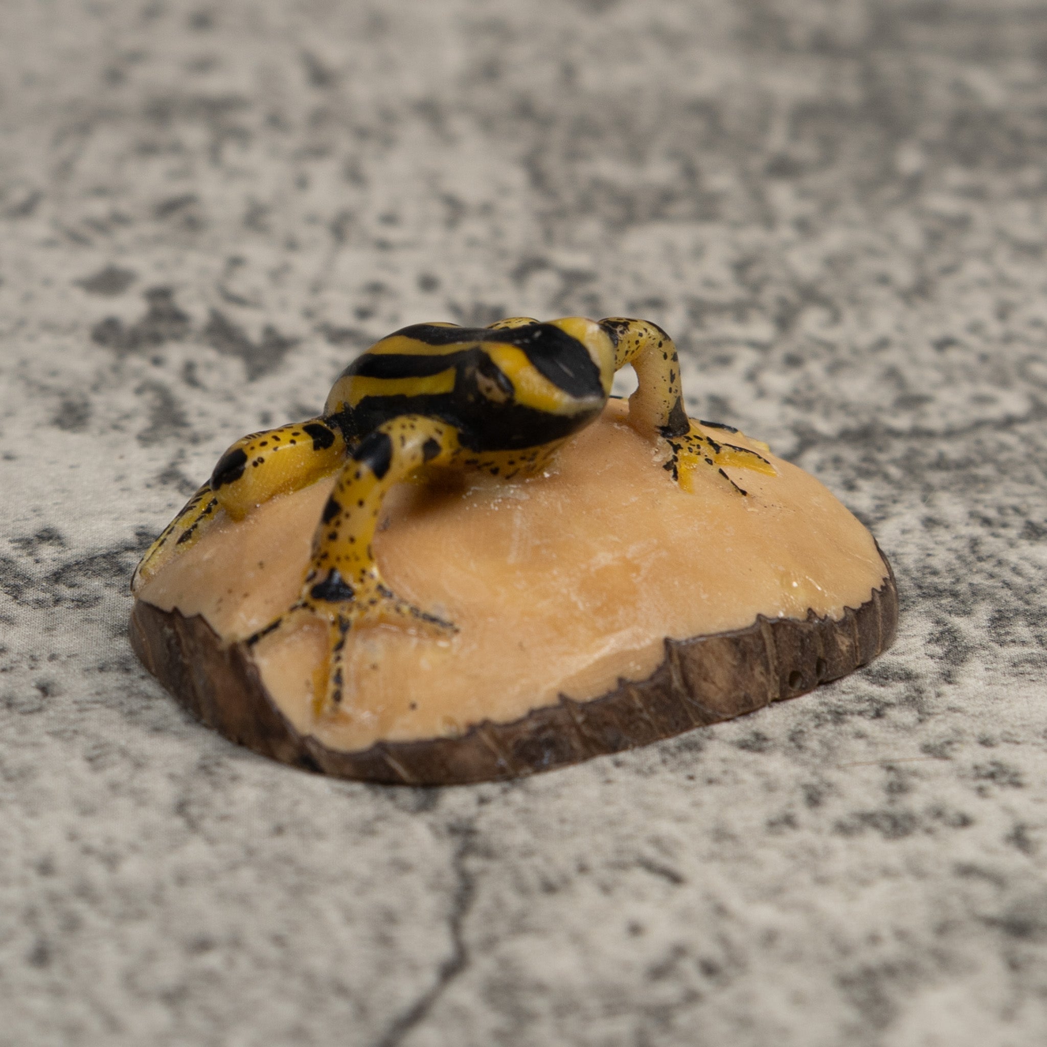 Vintage Black And Yellow Poison Dart Frog Tagua Carving